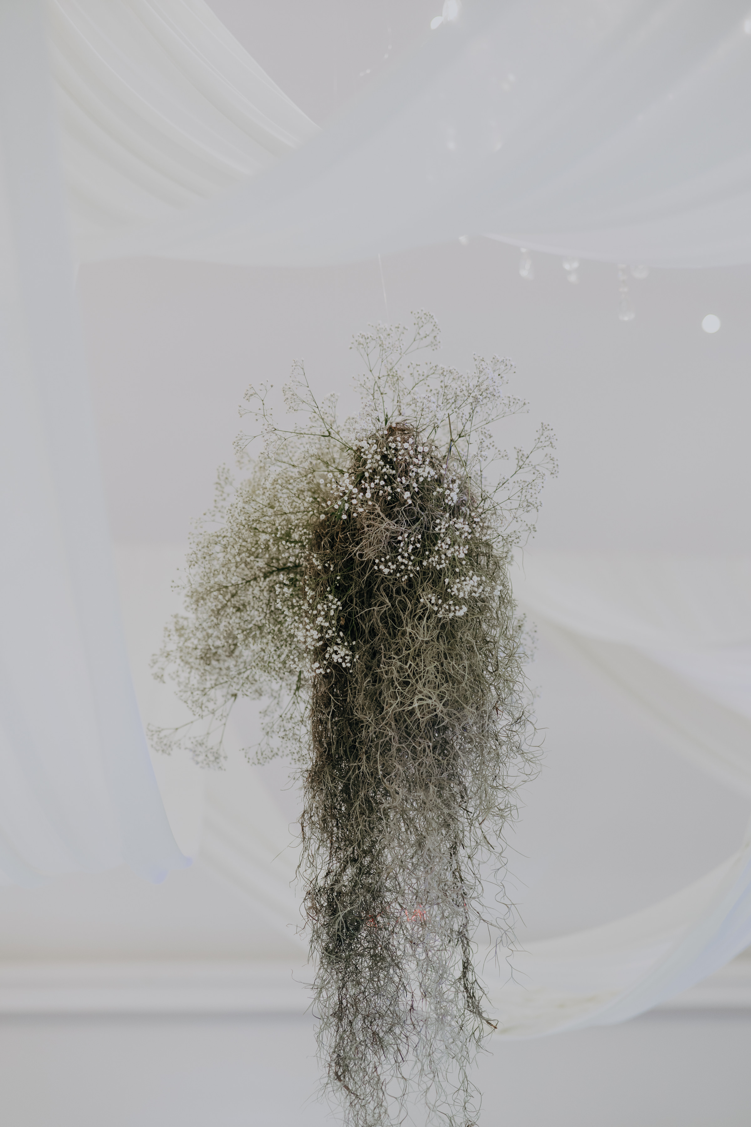 Javier & Paola — foto 29 (1)